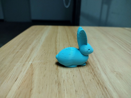 Printed Bunny Discovered